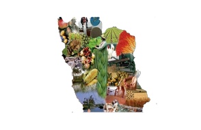 پنجره خدمات تعاون روستایی